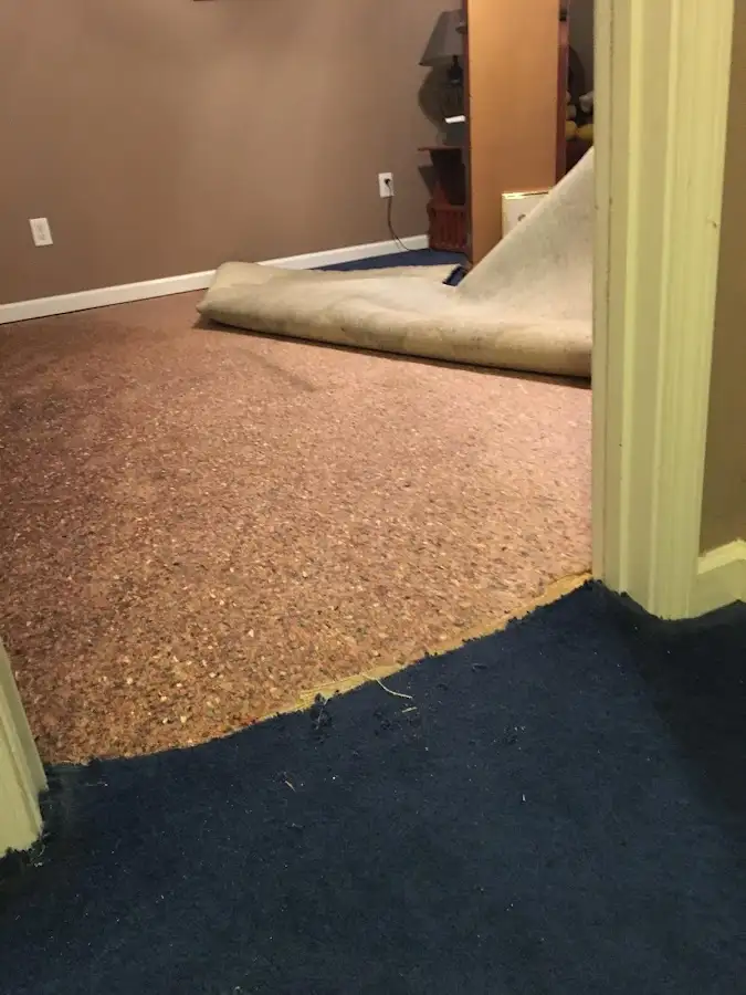 Carpet pad removal revealing water damage during Drying & Dehumidification in Hermantown