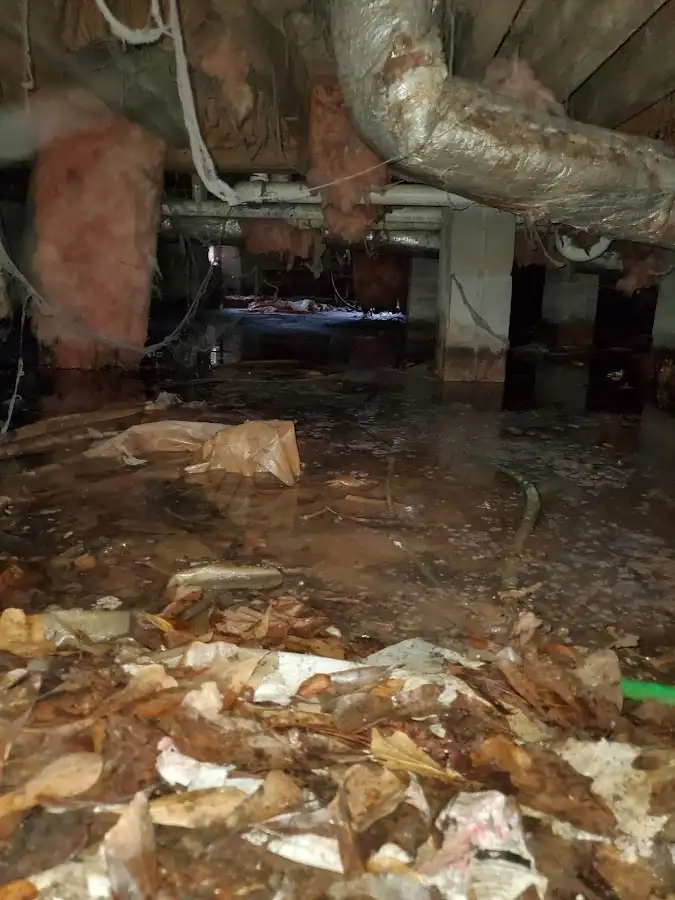 Crawl space flood assessment for Commercial Water Damage Restoration in Hermantown